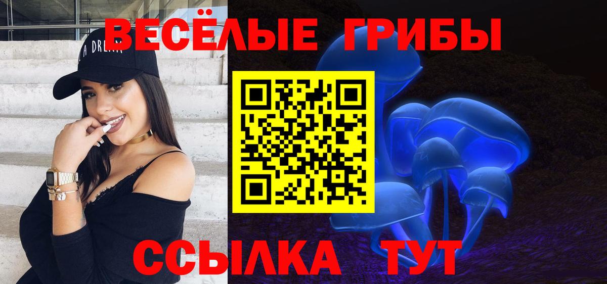 Псилоцибиновые грибы ЛСД  Галлюциногенные грибы ЛСД  Вход с VPN  Будённовск 